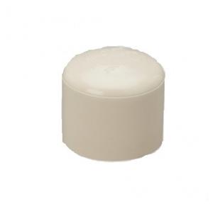 Ashirvad Aqualife UPVC End Cap (SCH 40) 6 Inch, 2238714